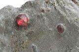 Plate of Four Red Embers Garnets in Graphite - Massachusetts #225941-2